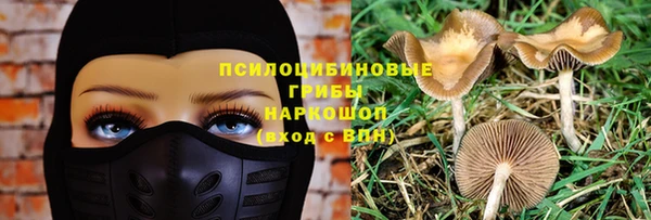 марки lsd Богданович